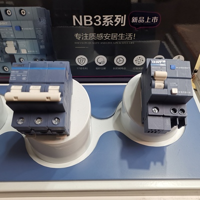 正泰高端泰极NB3LE漏保断路器2P63A带漏电保护器总闸空开家用别墅