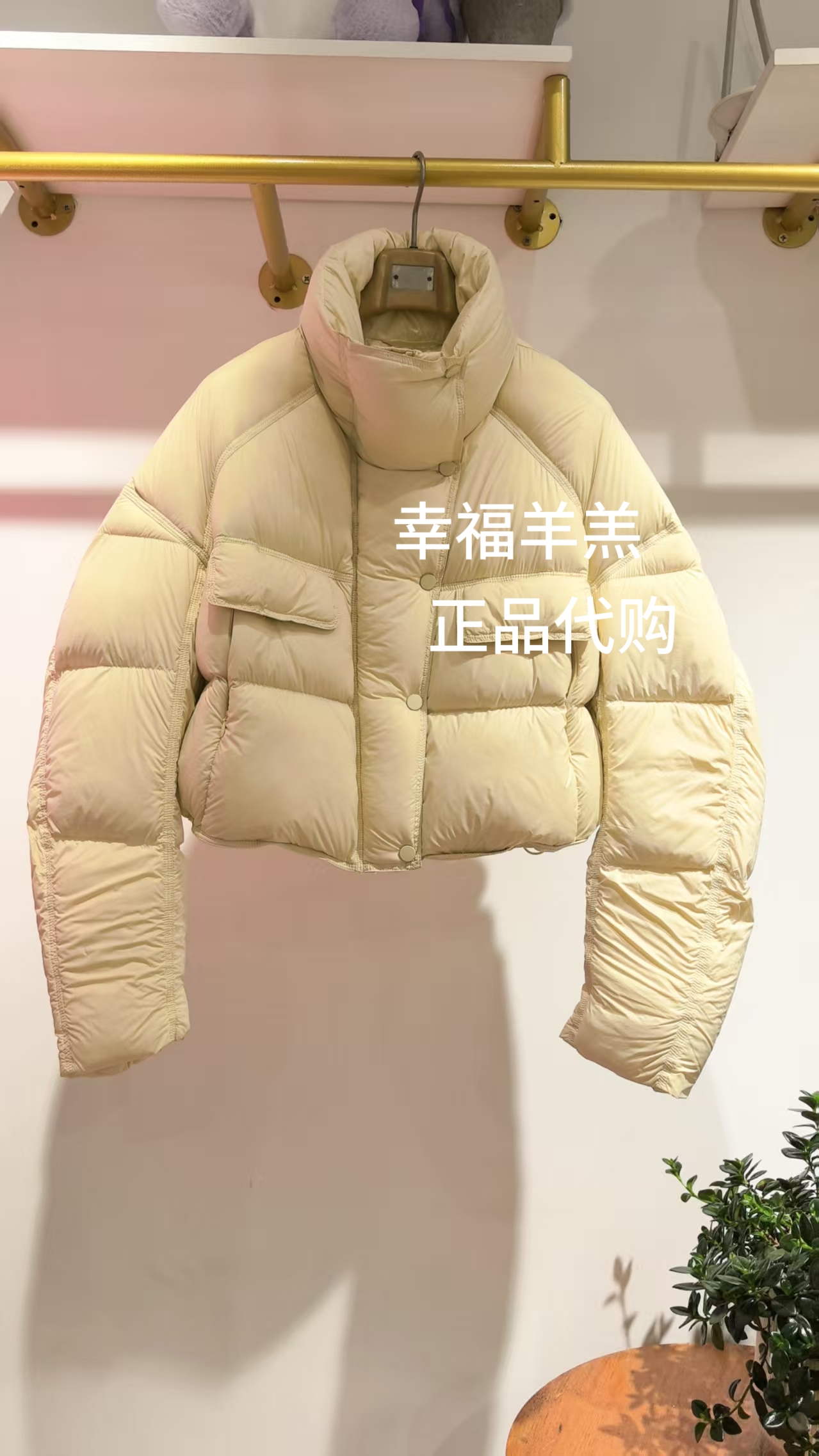 幸福家莫系列品牌女装商场同款R4D02711冬款专柜正品