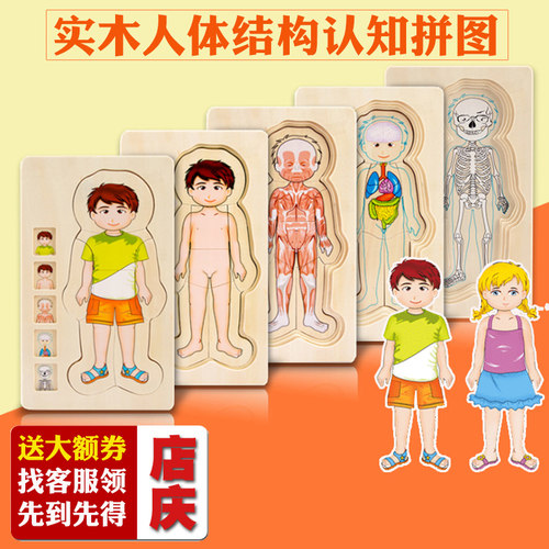 onshine多层实木人体结构