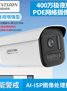 DS-2CD3T49SWDA4-L 400万臻全彩极夜版摄像机双向对讲人车分类