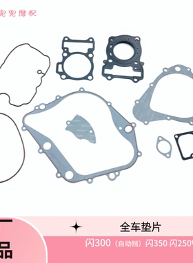 钱江闪300闪350闪250V全车垫片