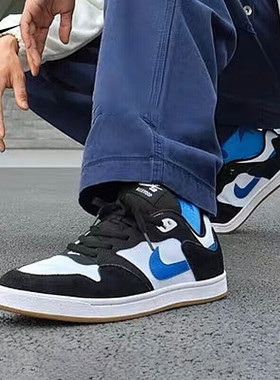 耐克休闲鞋男鞋2025春季新款SB Alleyoop轻便透气复古运动鞋板鞋