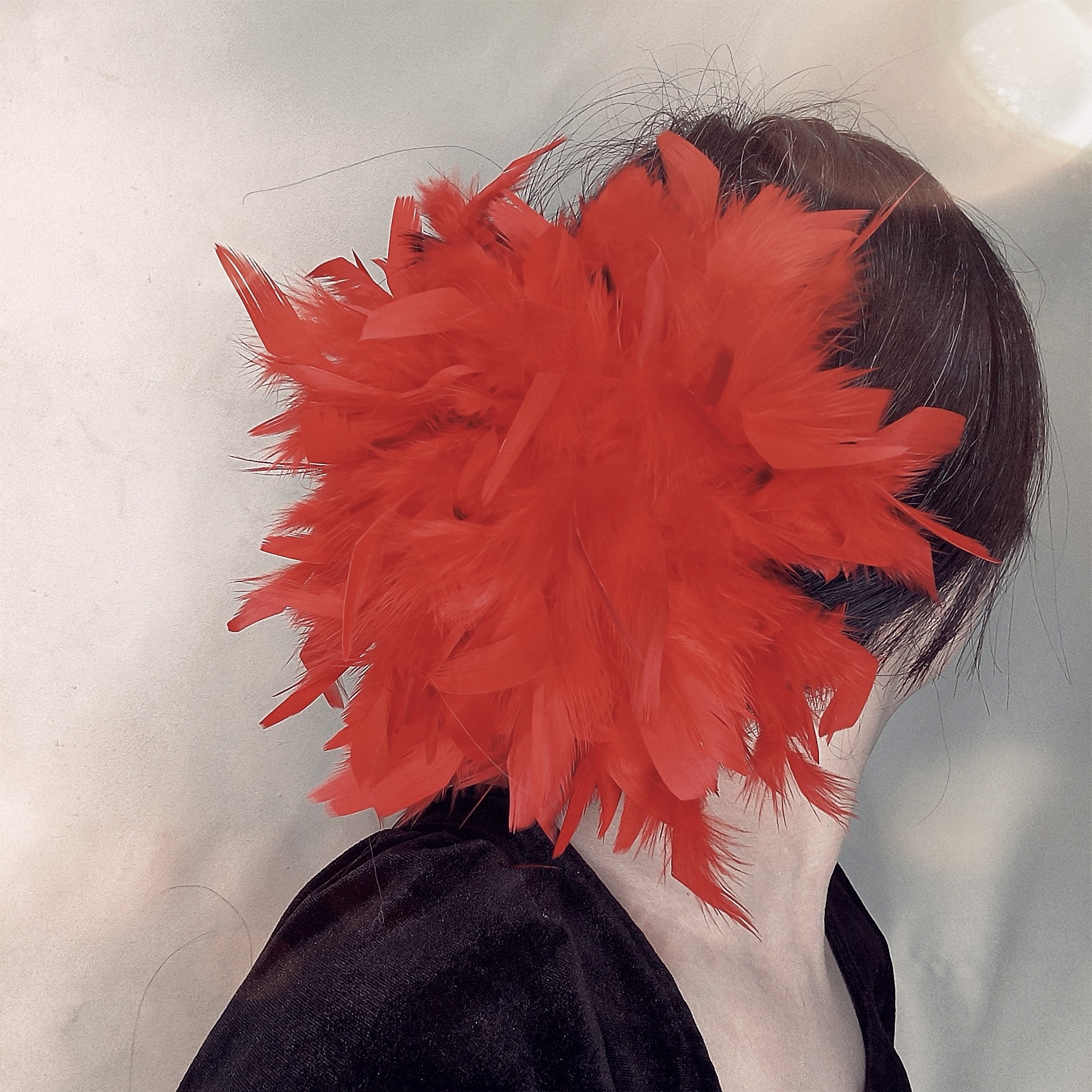 新年红色羽毛抓夹女高级感毛毛发抓盘发器发饰鲨鱼齿夹子2026新款,饰品/流行首饰/时尚饰品新,发饰,淘宝优惠券,粉丝福利购,淘宝优惠卷