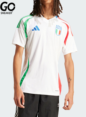 Adidas/阿迪达斯正品FIGC A JSY男士足球运动短袖球衣IN0656