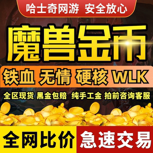 魔兽世界无情服铁血服硬汉服20周年服金币游戏币G币wow周年服G币