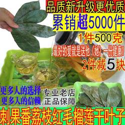 皇冠店精品刺果番荔枝干叶子红毛榴莲干叶子Annona muricata叶子