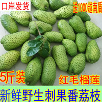进口热带新鲜水果刺果番荔枝红毛榴莲野生释迦果营养食疗5斤包邮