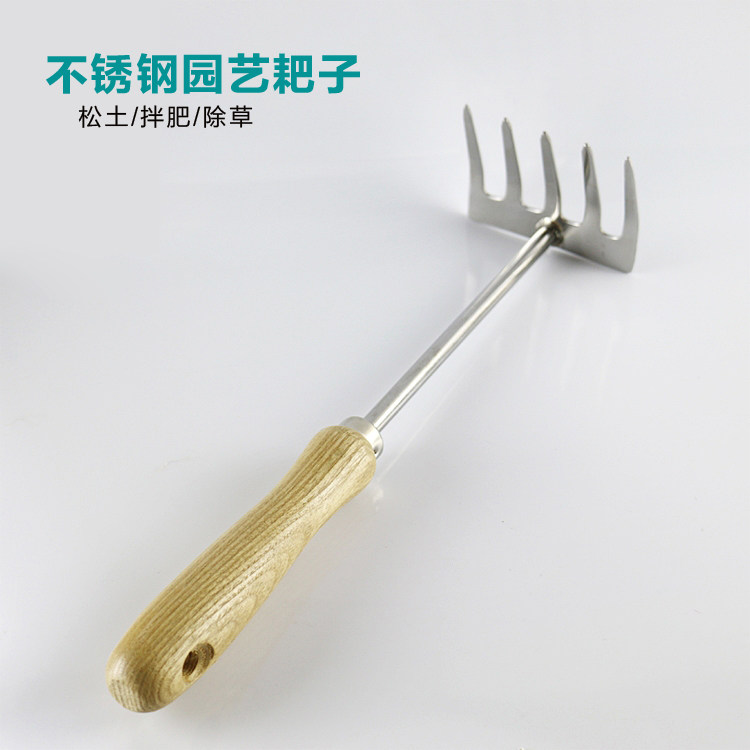 园林种花栽菜耙子不锈钢翻松土五齿小耙扒草地搂除草工具园艺耙子,鲜花速递/花卉仿真/绿植园艺,耙子,淘宝优惠券,粉丝福利购,淘宝优惠卷