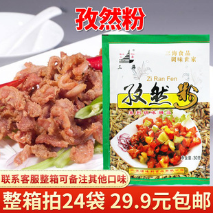 烧烤调料 三海孜然粉30g 新疆风味撒料 烧烤油炸撒料撒粉 调味料