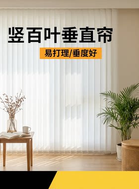 竖百叶垂直窗帘客厅阳台办公室遮光防晒隔热窗帘梦幻帘隔断梦幻帘