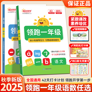 2025秋阳光同学领跑一年级幼小衔接教材全套语文数学幼升小同步训练大班学前班暑假作业幼儿园升一年级开学入学准备小学一年级教材