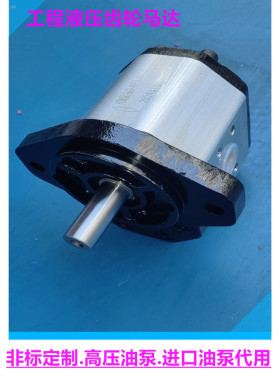 BHMAOR26C65-Q1液压马达双向齿轮马达 进口油泵代用 高压工程油泵