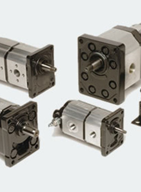 OT200GR2OT303GR3OT100GR1OT200小型换向阀新款意大利brevini齿轮