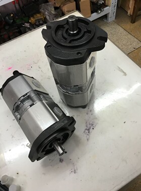 双向原装铝合金包邮电动新款B22A0D119C0R1R1E液压高压齿轮泵油泵