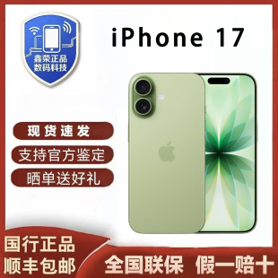 苹果 A19芯片 iPhone 手机 全网通5G手机 Apple