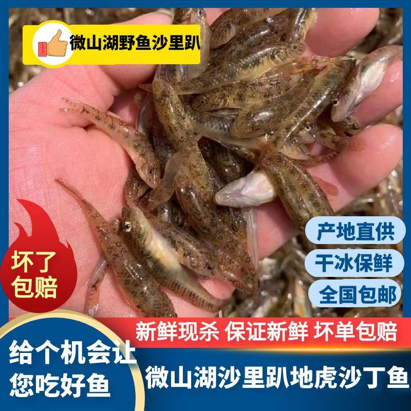 顺丰微山湖生态山根鱼沙里趴新鲜趴地虎沙丁鱼石坑鱼木头鱼滋补,水产肉类/新鲜蔬果/熟食,淡水鱼类,淘宝优惠券,粉丝福利购,淘宝优惠卷
