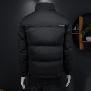2024冬季新款立领休闲羽绒服QT212-9827-P220 假模图图片