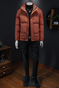 2024冬季新立领休闲羽绒服QT212-8805-P220 镂空图图片