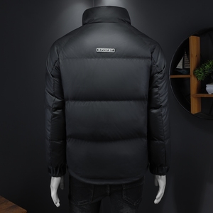 2024冬季新款立领休闲羽绒服QT212-9823-P220 假模图图片