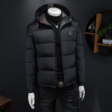 2024冬季新款连帽休闲白鸭绒羽绒服QT212-F7737-P310假模图，男装羽绒服，钱塘2010-1