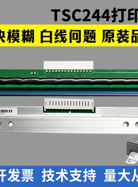 适用 TSC244打印头244Pro 244Plus TE244 TE210 TT065-52 4T200