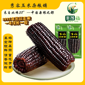 忻州玉米黑糯玉米粘甜玉米真空即食代餐杂粮低脂非转基因花青素