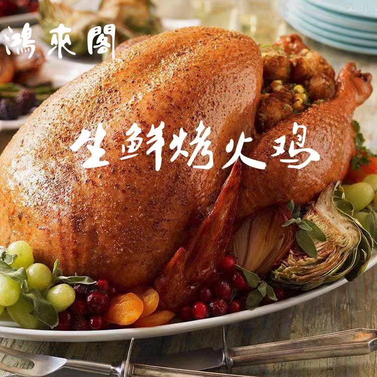火鸡整只散养火鸡烤火鸡新鲜 感鸡肉/鸡肉制品