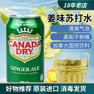 原装 dry Ginger Ale姜汁味汽水干姜苏打水饮料 进口加拿大Canada