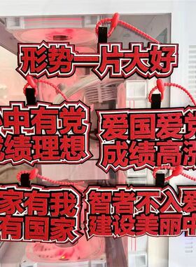国潮风不织布生在红旗下包包挂件