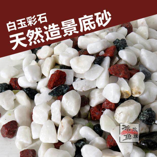 鱼缸造景底沙装饰品天然五彩石小造景/装饰
