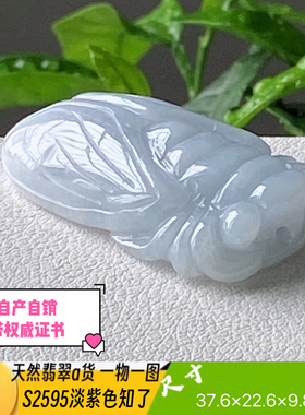特惠淡紫色知了吊坠天然翡翠a货S2595自然光实拍四会自产自销
