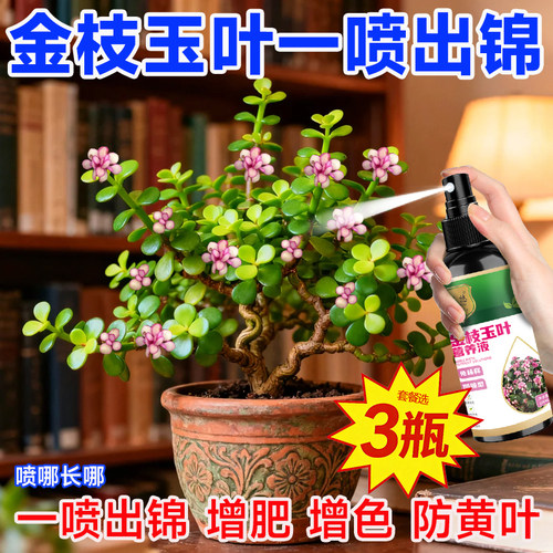 金枝玉叶专用营养液助生长叶片饱满增色增肥生根发芽爆芽预防烂根