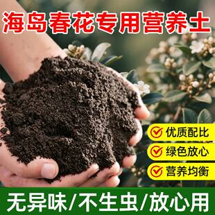 海岛春花树盆景石斑木专用营养土有机土缓释室内盆栽绿植老桩家用