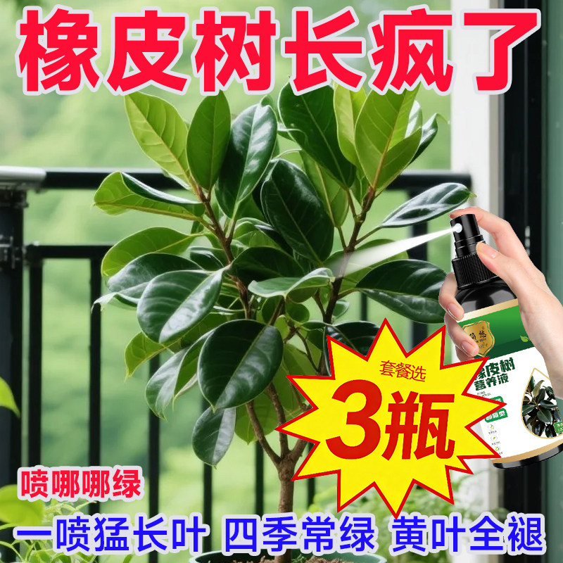 橡皮树营养液【永不黄叶】助生长壮根催芽催发芽专治黄叶掉叶烂根图片