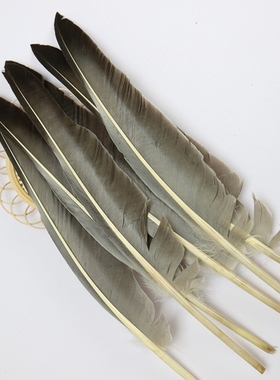 限时包邮10支稀有羽毛灰鹅毛驼背灰刀翎羽毛笔diy工艺饰品配件