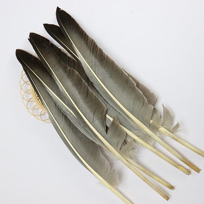 稀有羽毛驼背灰鹅毛羽毛笔