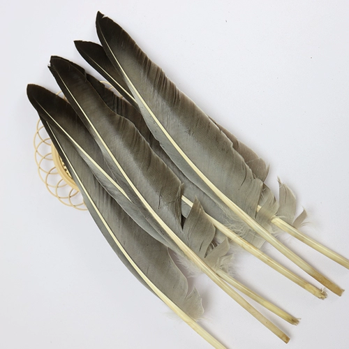 Корректор осанки, кисть для письма, аксессуар, аксессуары, 10 шт, «сделай сам»