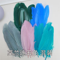 Free shipping of 50 natural goose feathers, diy materials for kindergarten handmade feathers, colorful feather accessories, decorative items thumbnail 2