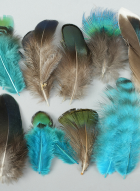 包邮天然蓝色小羽毛孔雀毛鸡毛diy手工饰品材料配件服装辅料道具