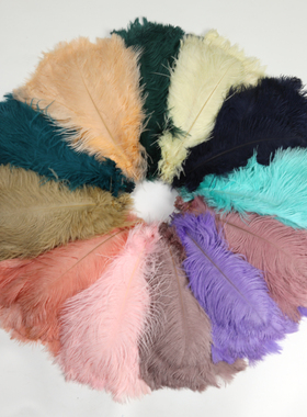 现货30-35cm鸵鸟羽毛婚庆路引桌花摆设婚礼装饰客厅摆件鸵鸟毛