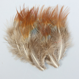 天然锦鸡羽毛红头丝DIY饰品服装工艺品辅料装饰小羽毛配件50支/包