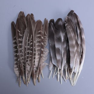 多款原色野鸡毛芦花刀翎窝翎羽毛DIY材料帽子毕业设计羽毛配件