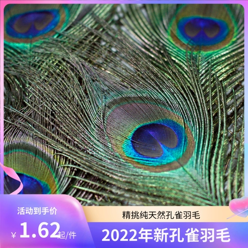 Домашняя гостиная чистая натуральная павлина перо хвост хвост DIY украшения свадебные вазы украшения павлина волосы