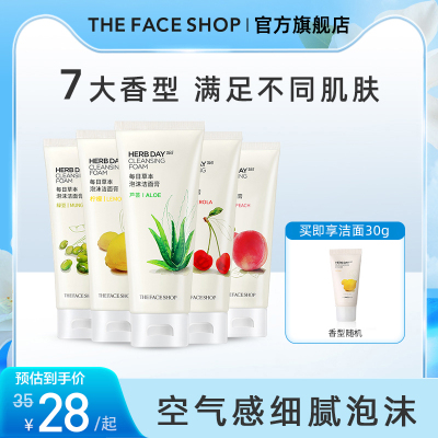 TheFaceShop/菲诗小铺泡沫洗面奶