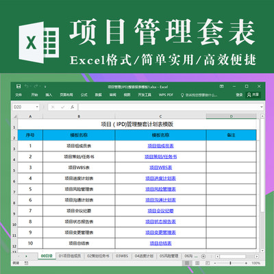 项目管理全程过程全自由管控套表 WBS进度风险沟通会议变更总结