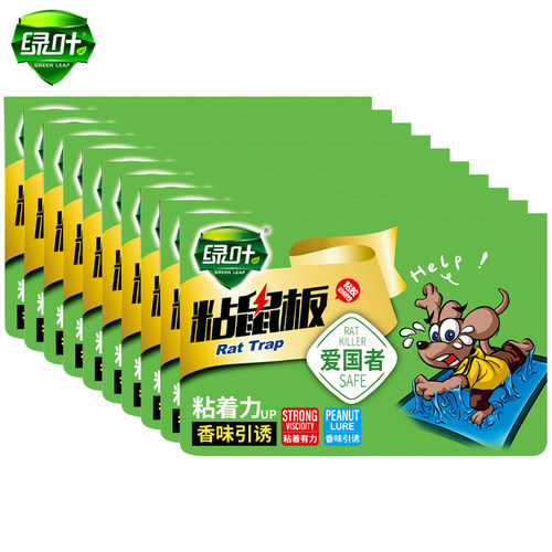 10张装绿叶爱国者粘鼠板
