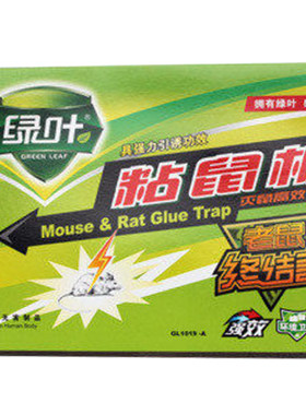 片装绿叶粘鼠板加厚老鼠