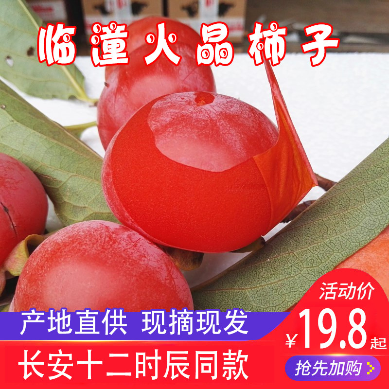 陕西临潼火晶柿子新鲜软爆汁