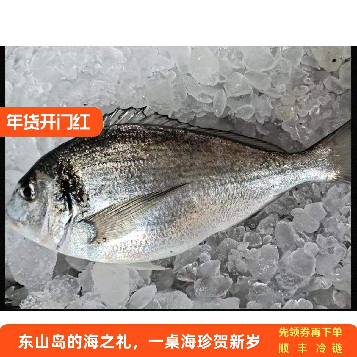 深海冰鲜冷冻金头鲷鱼刺身东山岛海鲜水产日料理鱼生,水产肉类/新鲜蔬果/熟食,青花鱼,淘宝优惠券,粉丝福利购,淘宝优惠卷