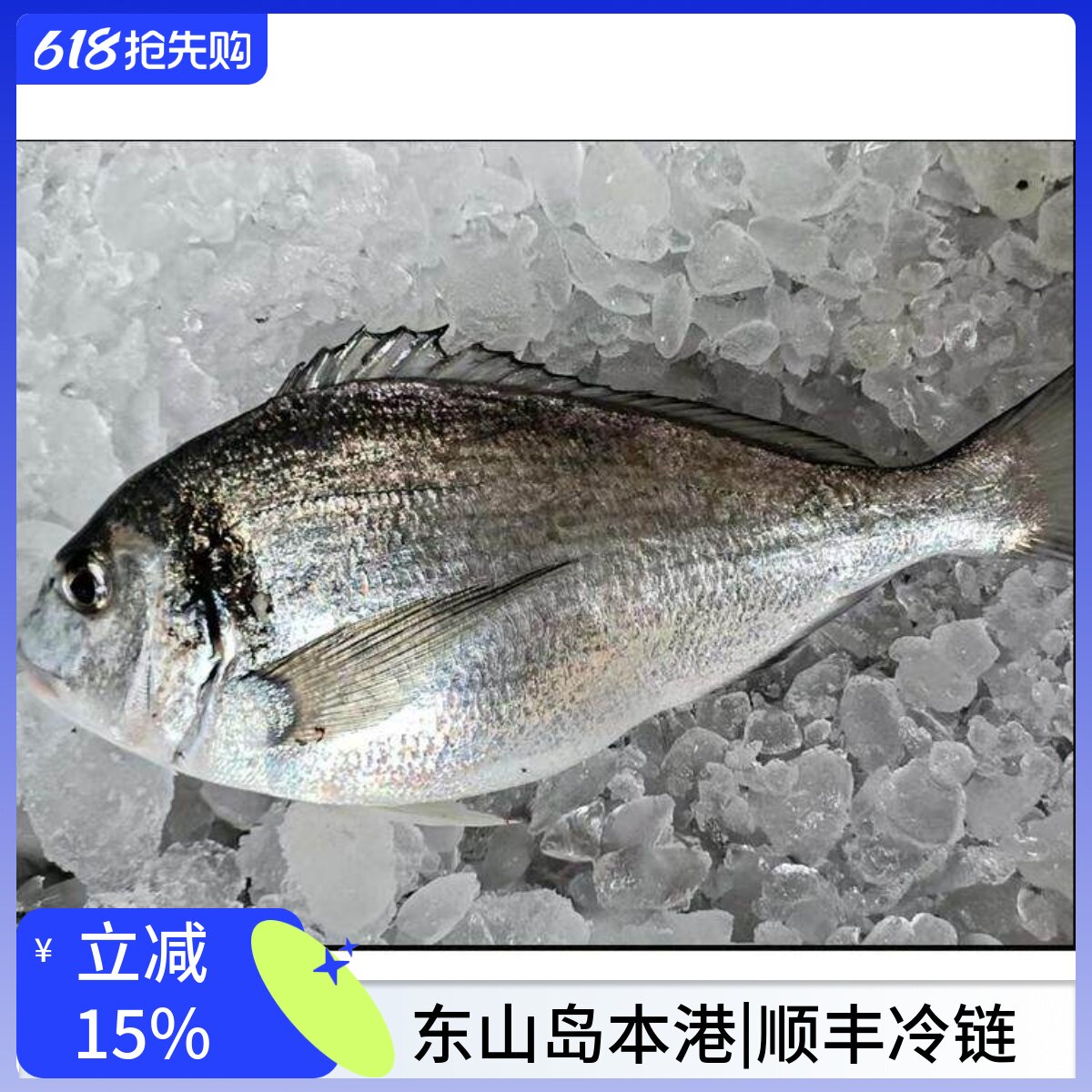 深海冰鲜冷冻金头鲷鱼刺身东山岛海鲜水产日料理鱼生